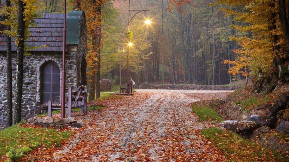 Неповторимые парки Украины, которые стоит посетить в октябре: готовые маршруты