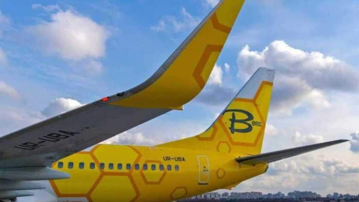 Bees Airline разрешили летать из Киева в Запорожье