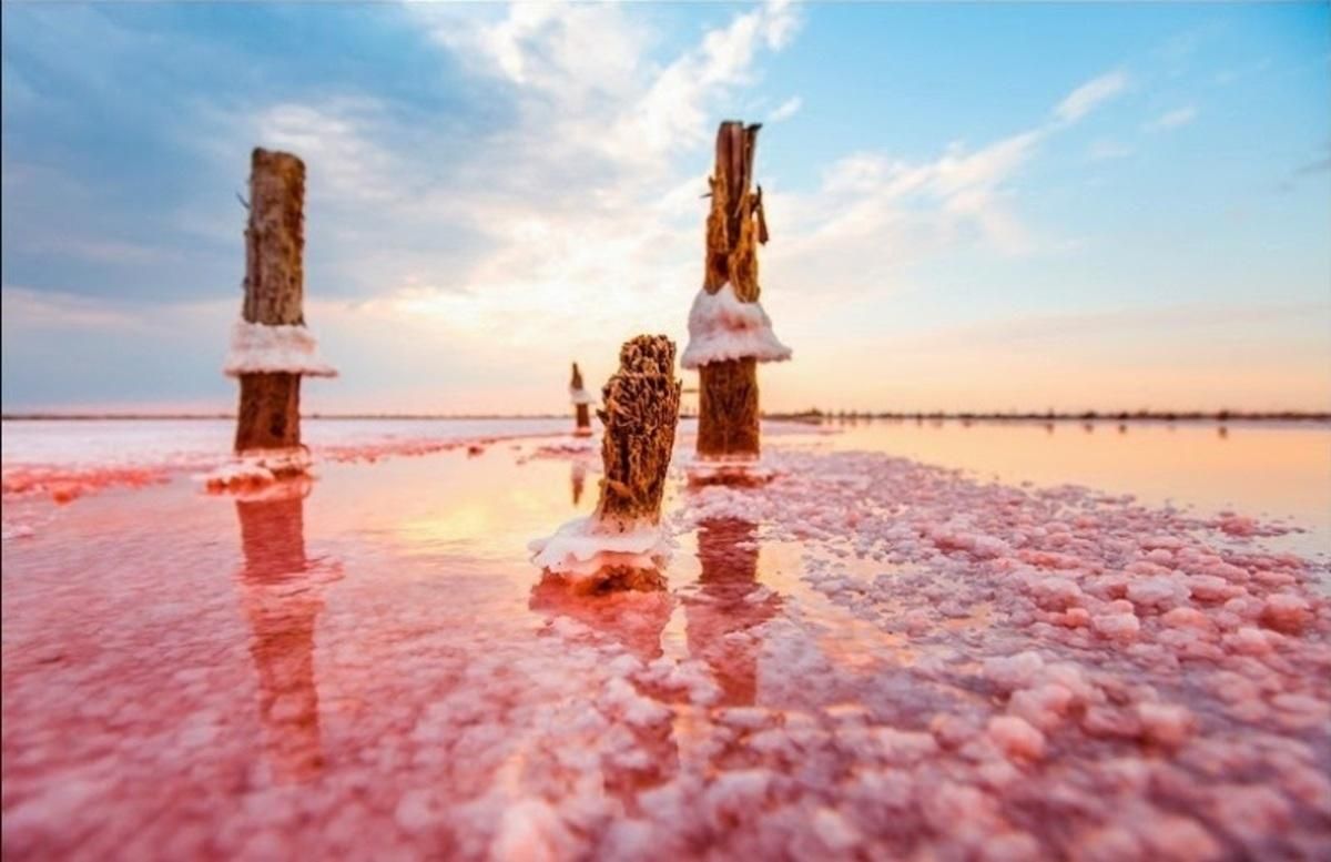 Рожеві озера України