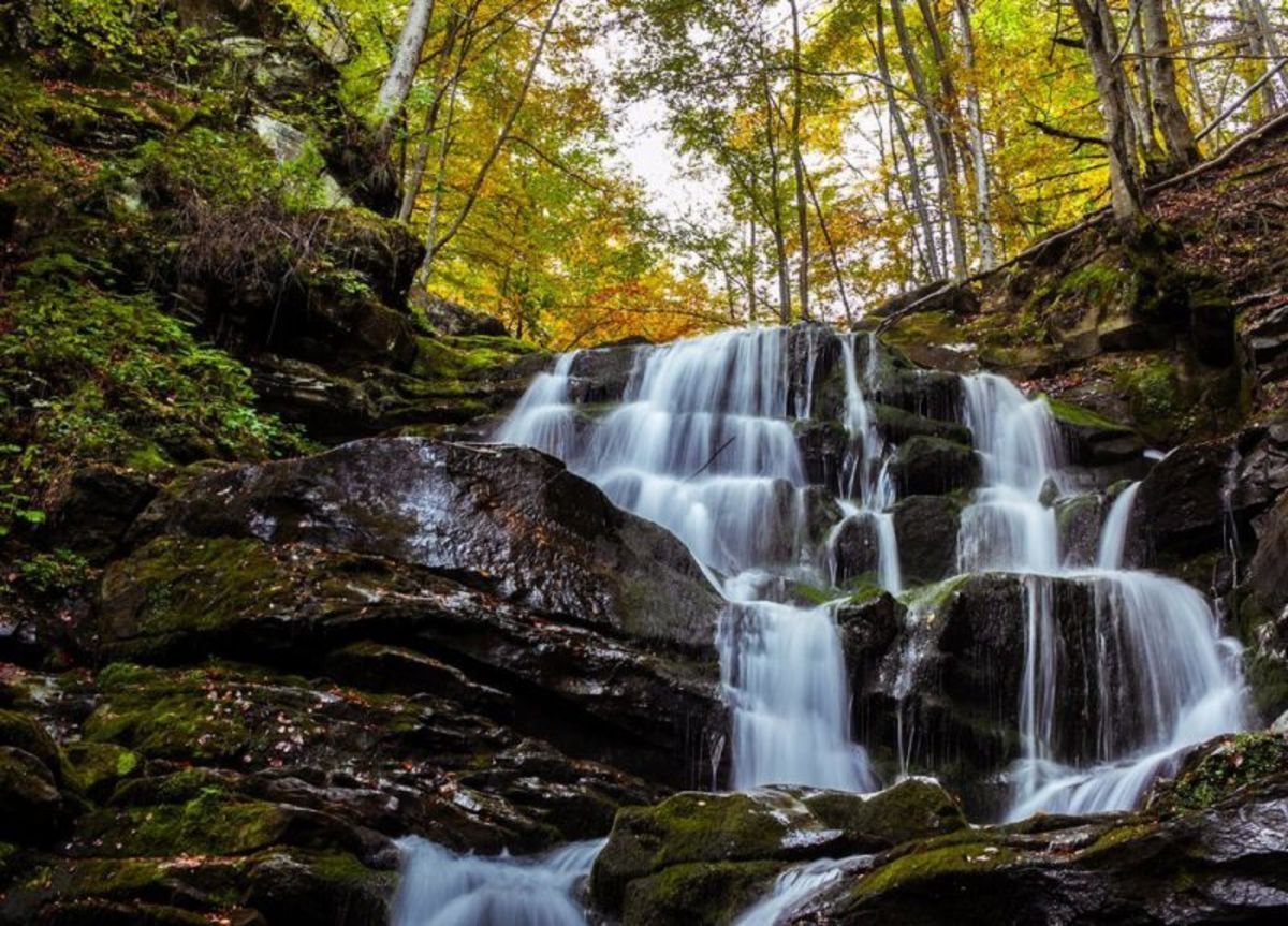 Найкрасивіші водоспади Карпат: як дістатися