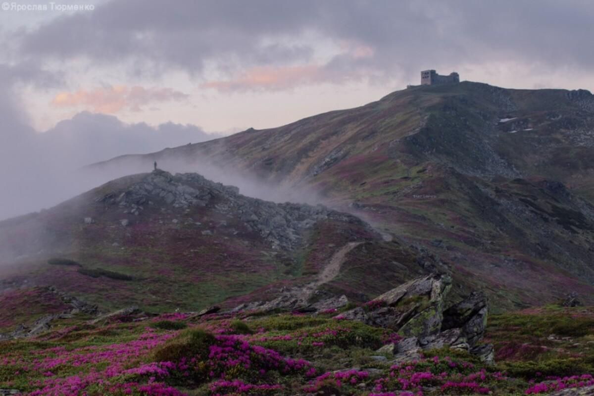 Восхождение на Поп-Иван: советы туристам, которые планируют покорять Черногору Восхождение на Поп-Иван: советы туристам, которые планируют покорять Черногору