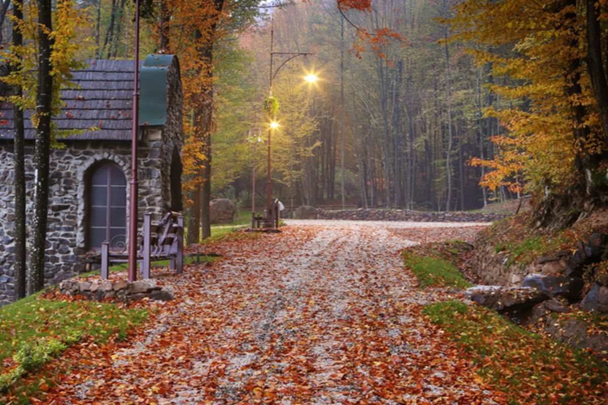 Неповторні парки України, які варто відвідати у жовтні: готові маршрути Неповторні парки України, які варто відвідати у жовтні: готові маршрути