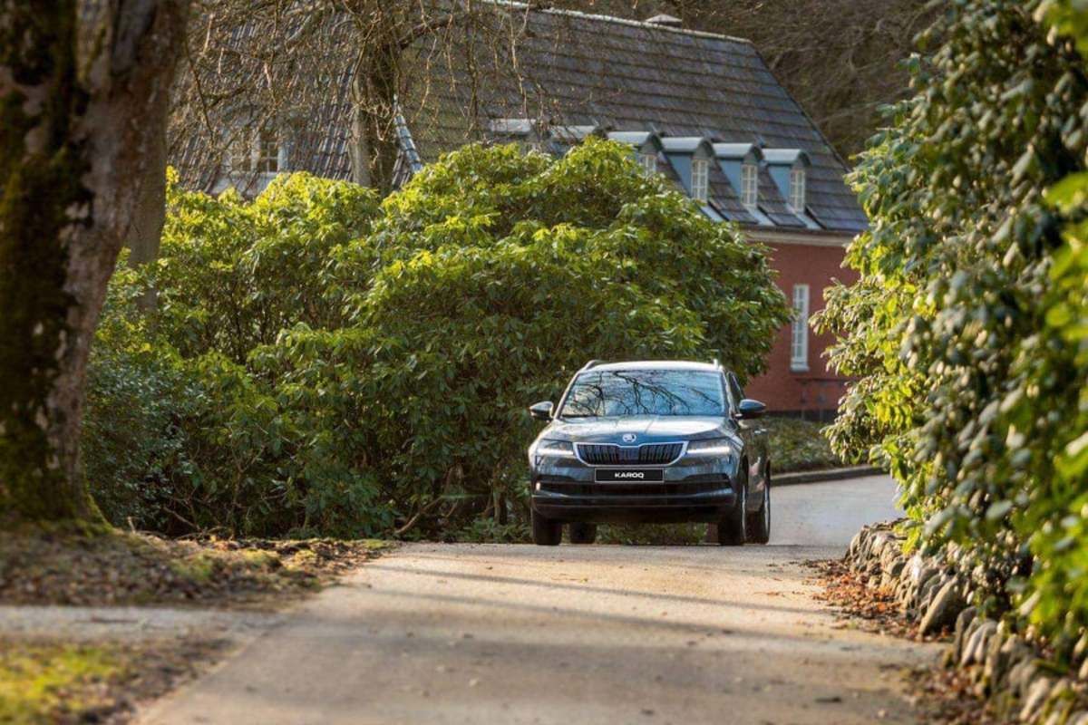 Вкусное Закарпатье: как организовать гастротур на авто и что стоит посетить Вкусное Закарпатье: как организовать гастротур на авто и что стоит посетить