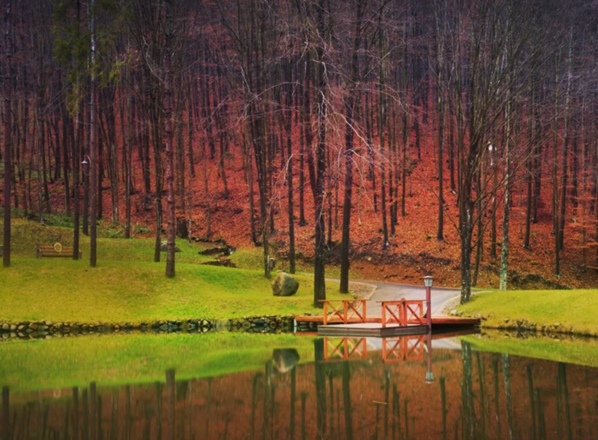 10 парков Украины для Instagram-фото 10 парков Украины для Instagram-фото