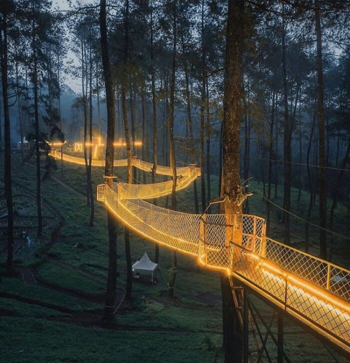 Чарівний міст вогнів, який висить серед дерев у лісі Індонезії – казкові фото