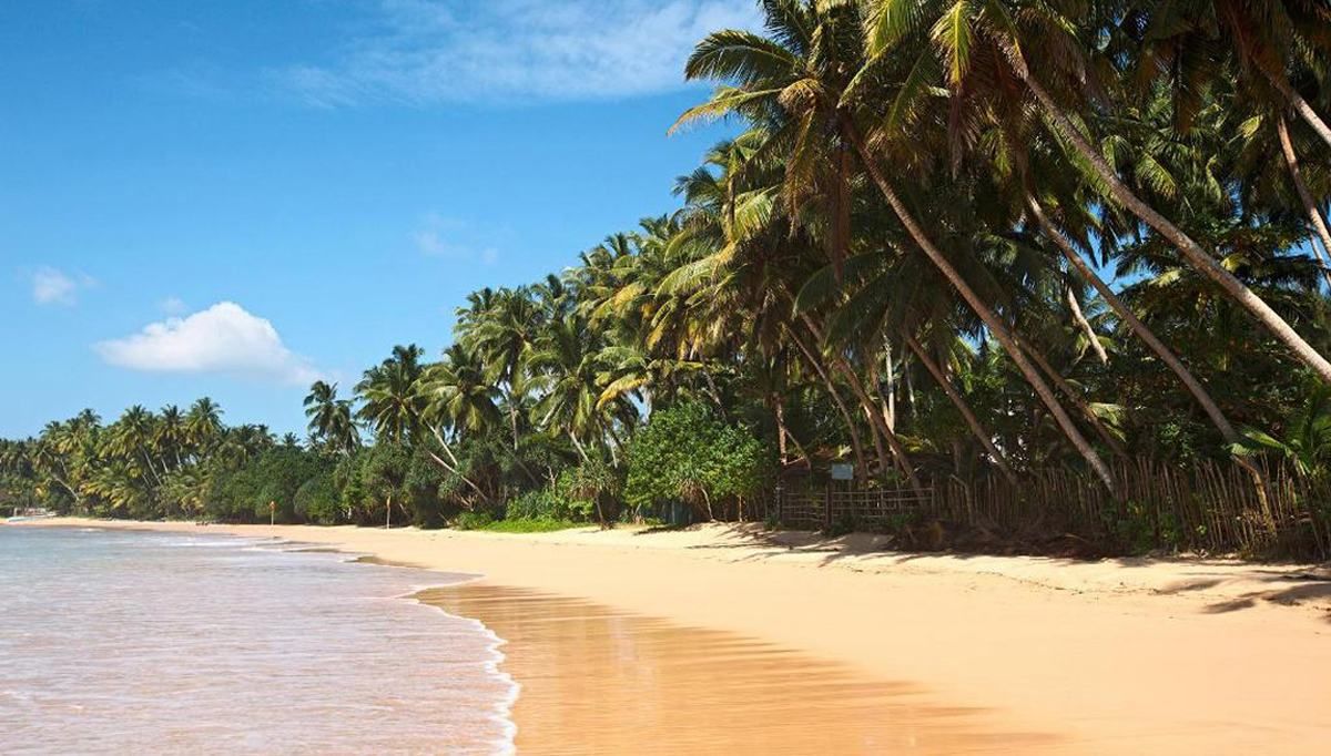 Шри-Ланка планирует открыть границы для иностранных туристов: известна дата