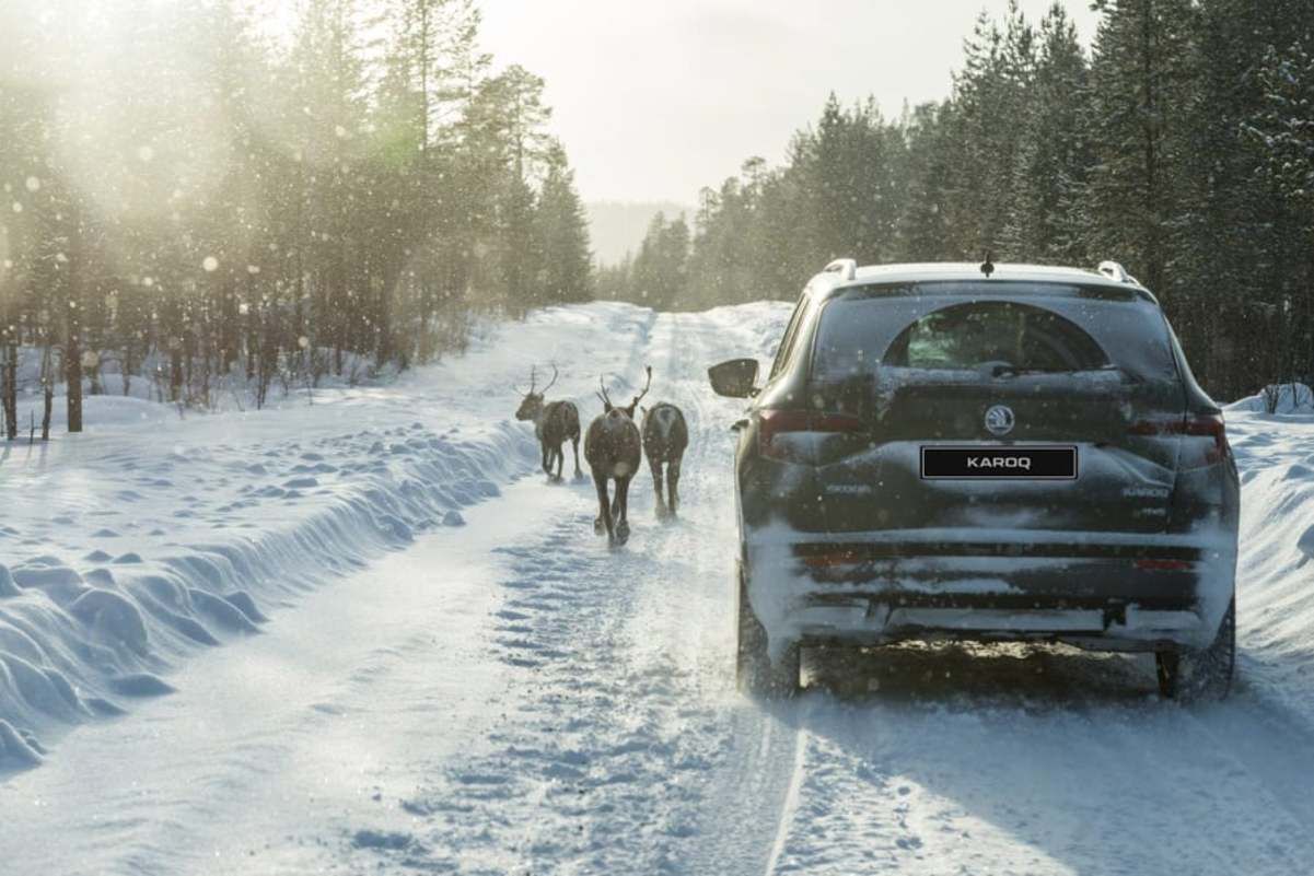 Куди поїхати на Різдво в Україні Куди поїхати на Різдво в Україні