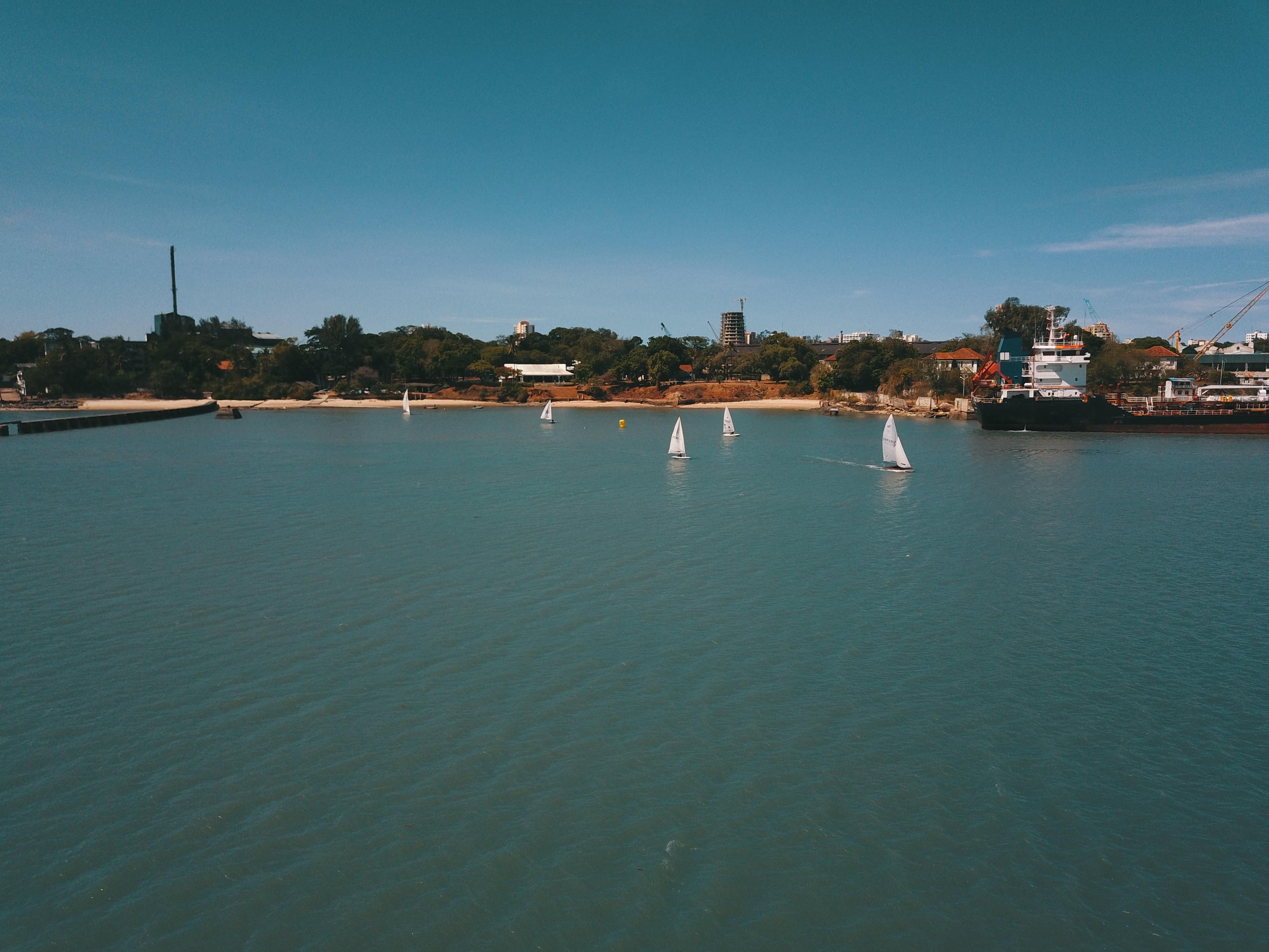 Лоукрстер Bees Airline Лоукрстер Bees Airline