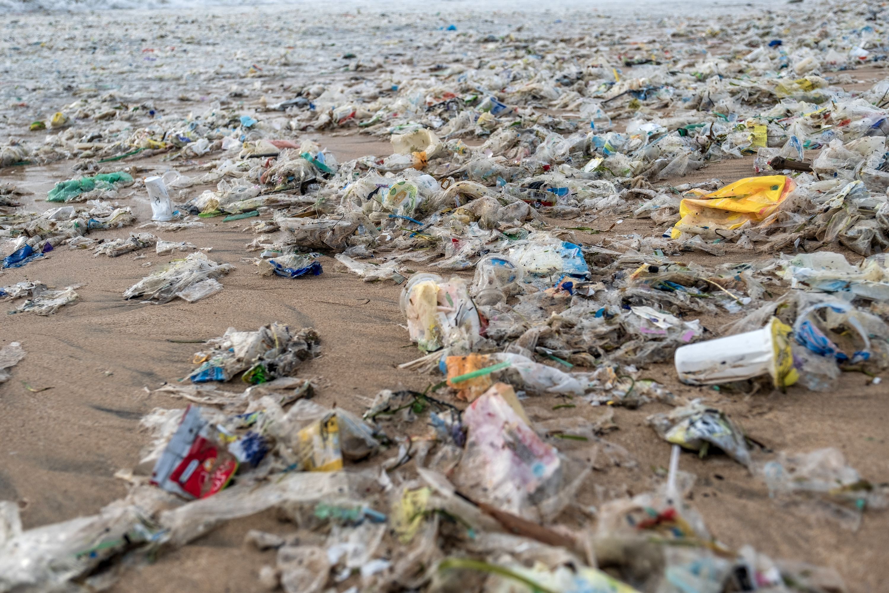 Пляжи Бали засыпает мусором: фото