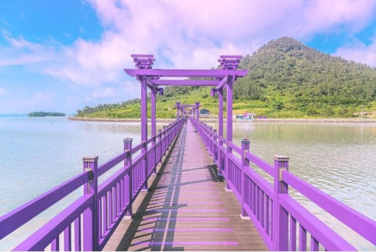 Острів в Кореї повністю пофарбували у фіолетовий колір