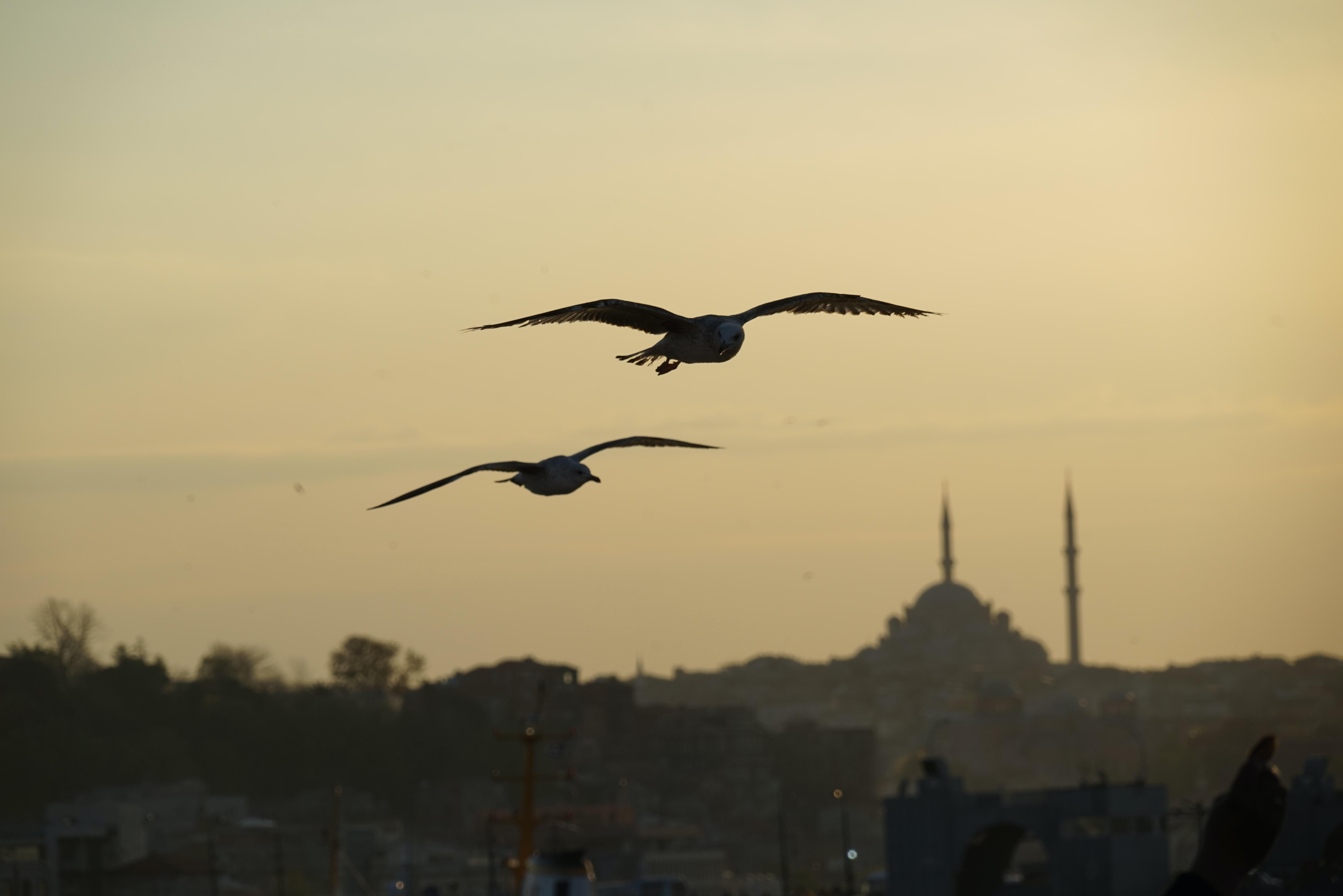 Карантин в Турции Карантин в Турции