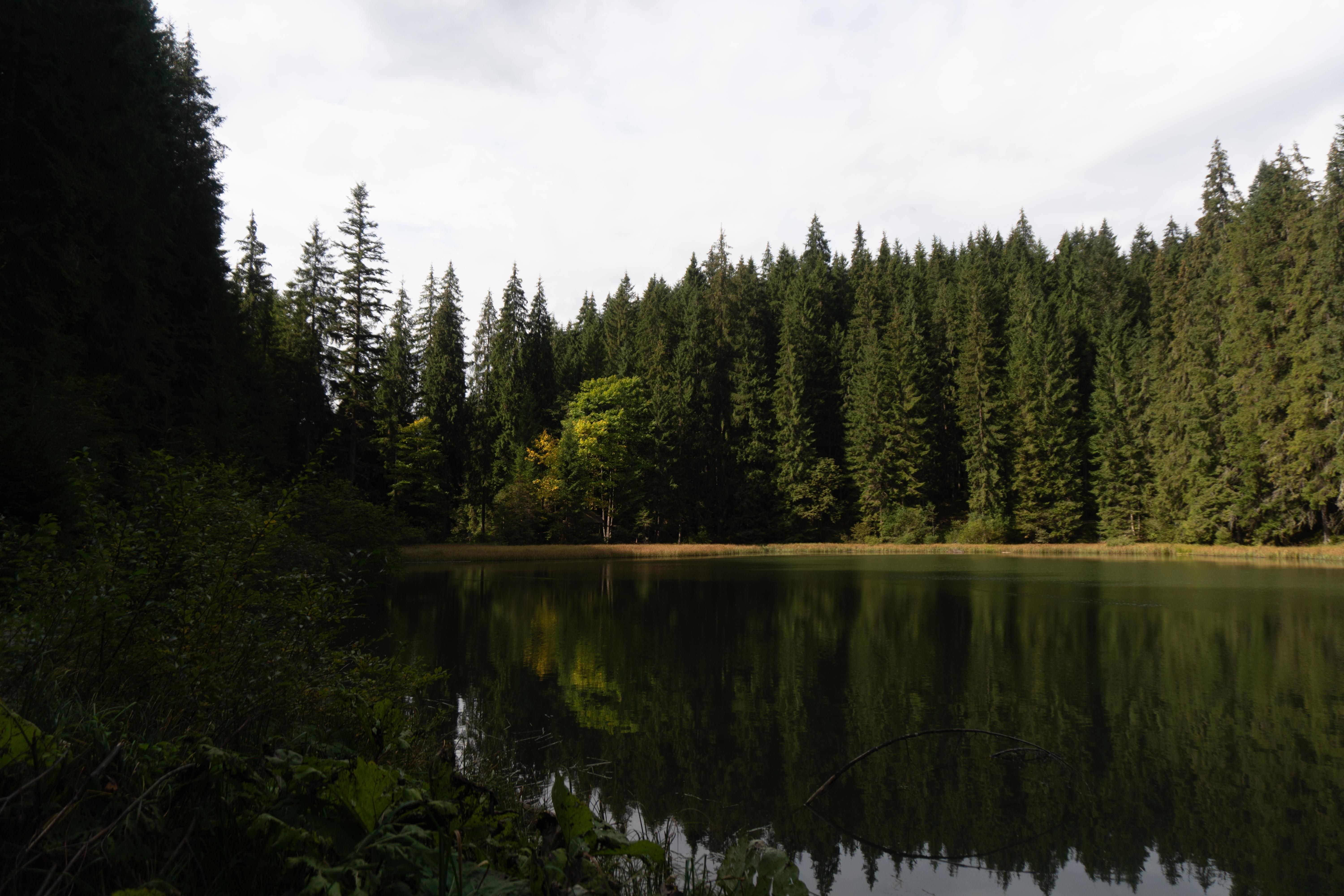 Горный Глаз – озеро, не имеющее дна Горный Глаз – озеро, не имеющее дна