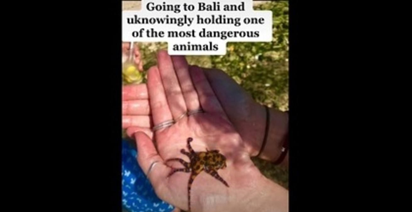 Туристка випадково взяла в руки одну з найотруйніших тварин у світі для відео Туристка випадково взяла в руки одну з найотруйніших тварин у світі для відео