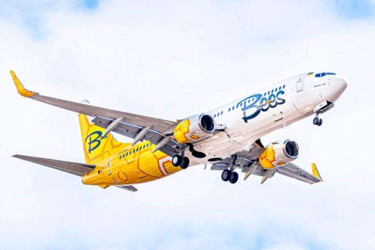 Как выглядит салон самолета нового лоукостера Bees Airline: фото