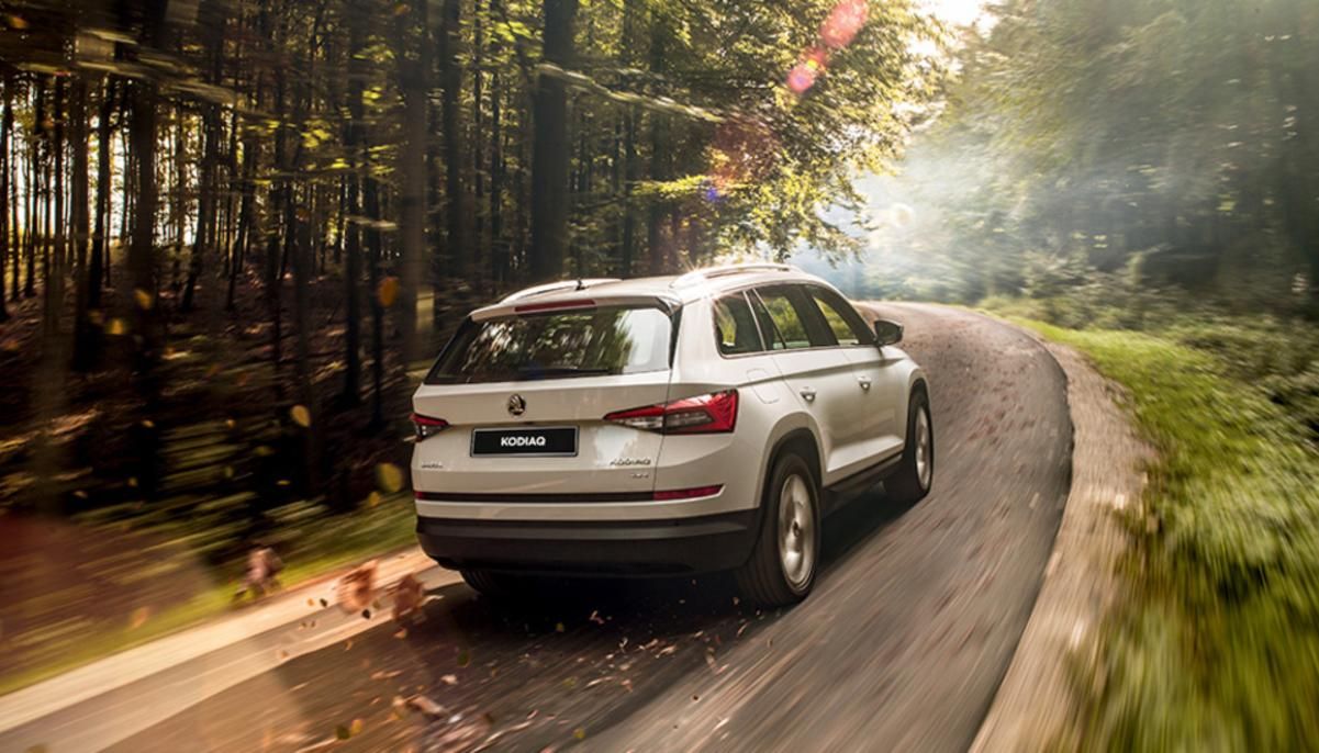 Куда поехать рыбачить в Украине: локации, где хорошо клюет Куда поехать рыбачить в Украине: локации, где хорошо клюет