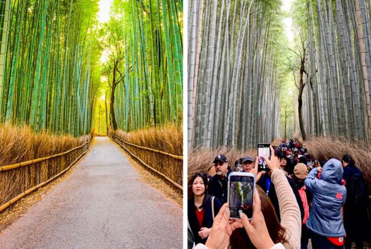 Курьезные фото из поездок, когда вместо восторга получил разочарование Курьезные фото из поездок, когда вместо восторга получил разочарование