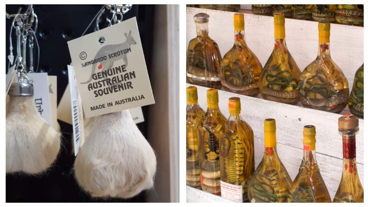 Шокирующие сувениры, которые можно приобрести в путешествии Шокирующие сувениры, которые можно приобрести в путешествии