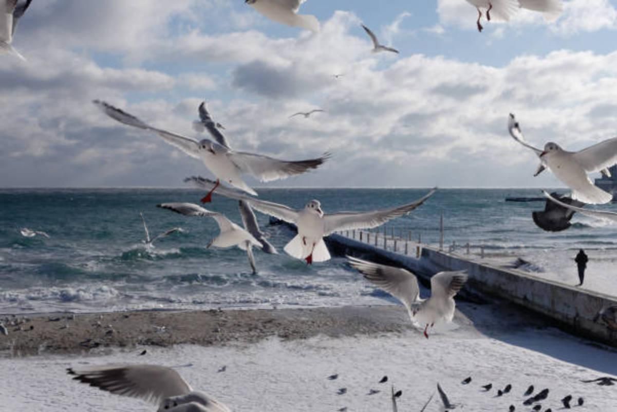 Укрзалізниця запустила 11 додаткових потягів до моря Укрзалізниця запустила 11 додаткових потягів до моря