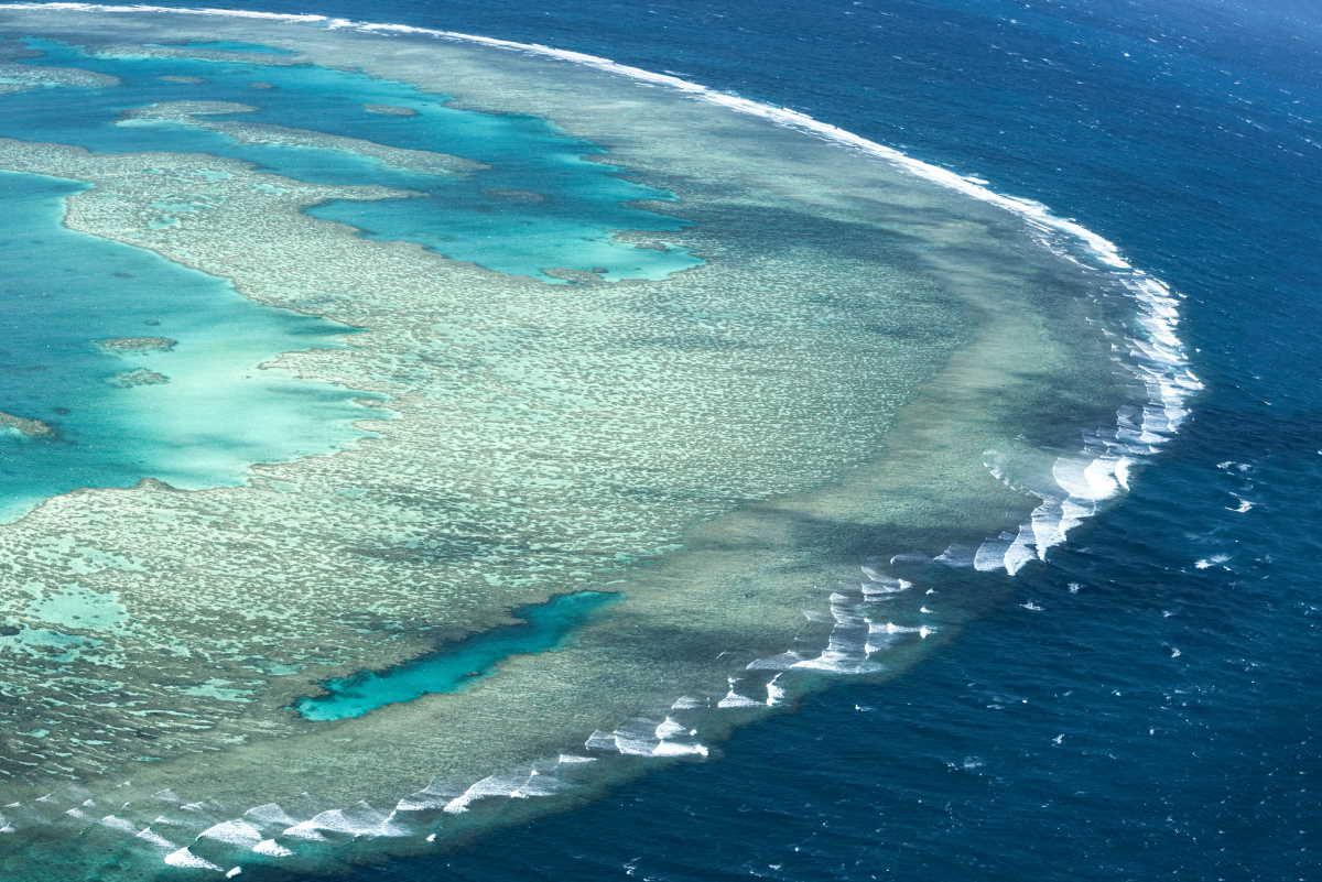 Великий Бар'єрний риф внесуть до списку ЮНЕСКО через зміни клімату