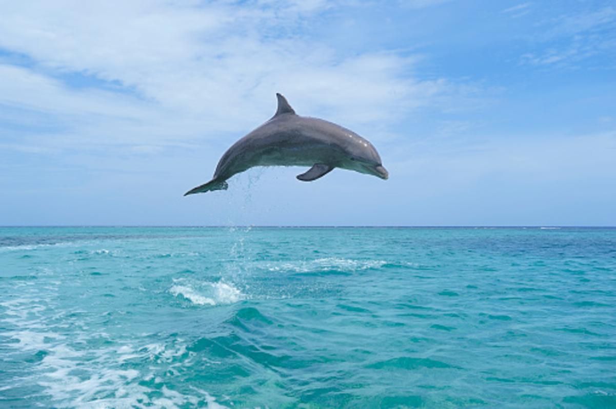 Иллюстративное фото Иллюстративное фото