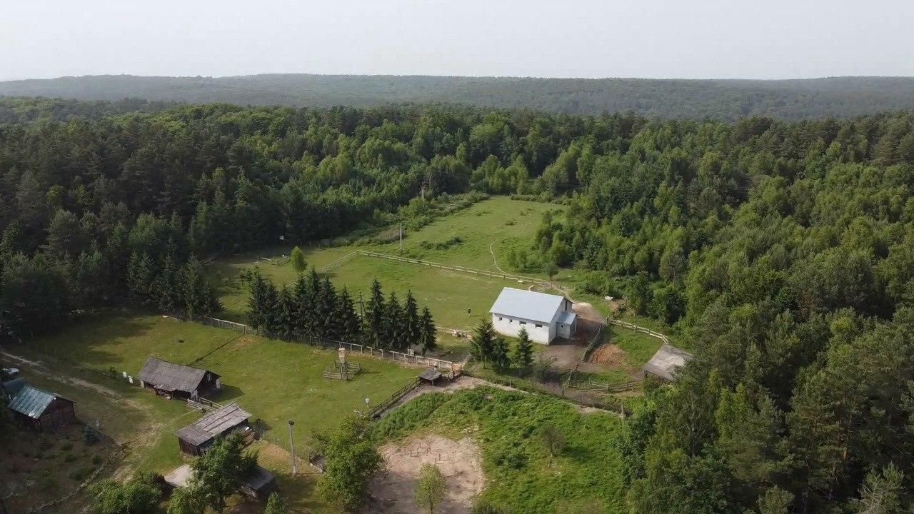 У Яворівському парку презентували новий маршрут для туристів: вражаючі фото У Яворівському парку презентували новий маршрут для туристів: вражаючі фото