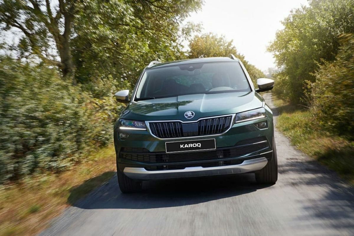 Места для пикника под Киевом Места для пикника под Киевом