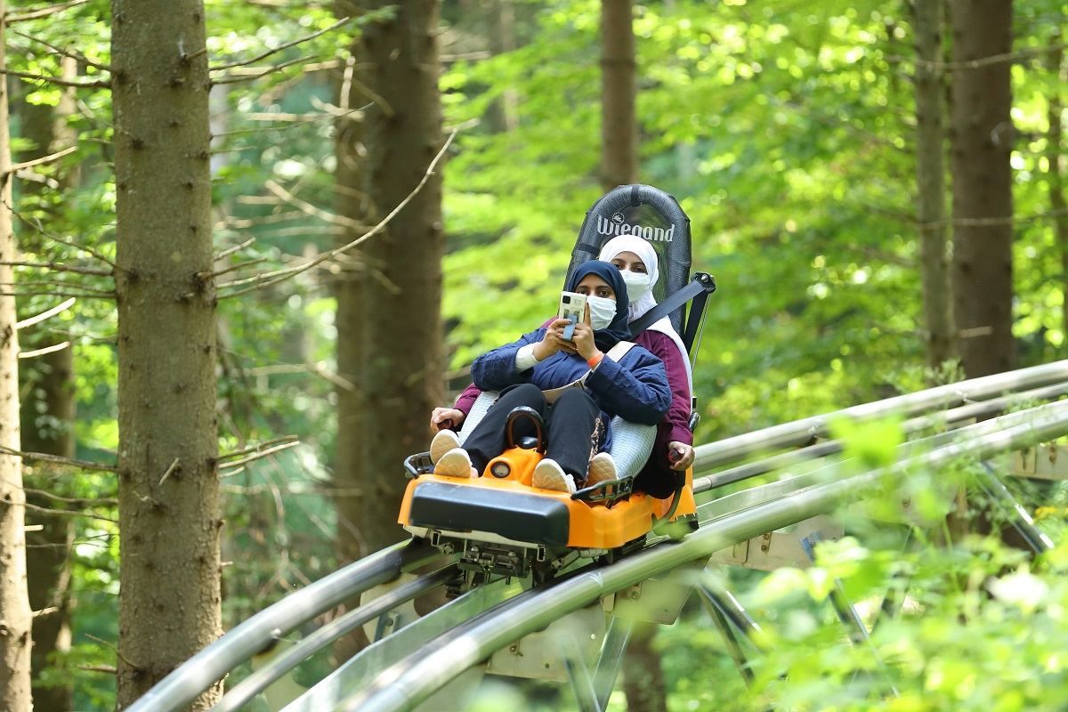 Сколько туристов из стран Персидского залива посетилм Украину Сколько туристов из стран Персидского залива посетилм Украину