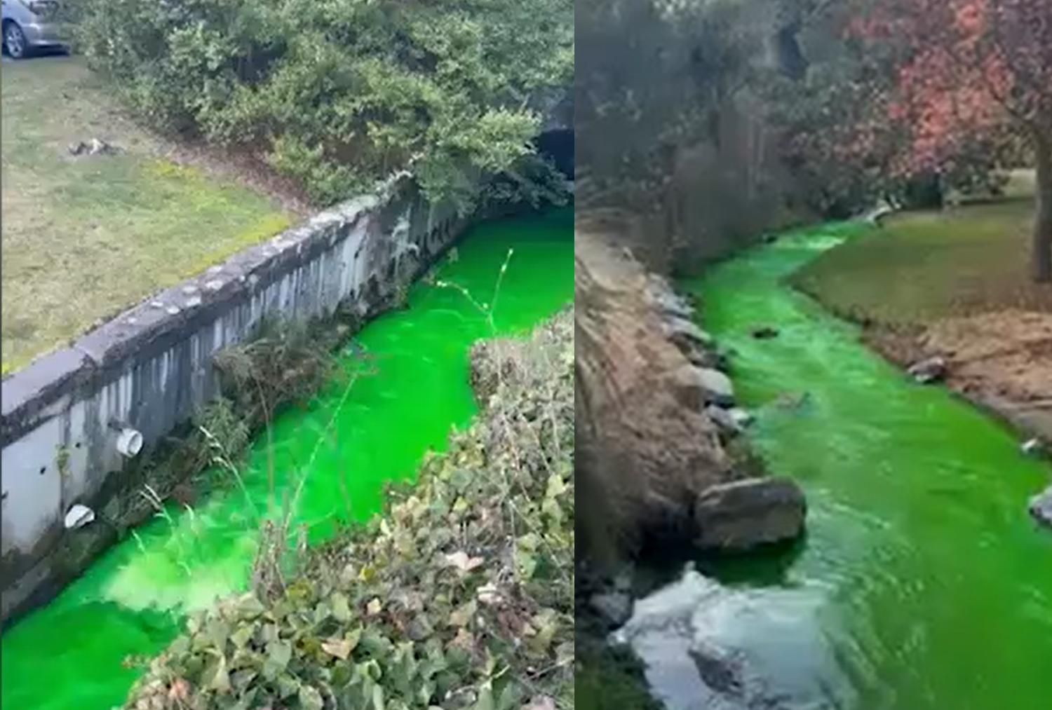 В Новой Зеландии отдыхающие обеспокоены цветом известного озера В Новой Зеландии отдыхающие обеспокоены цветом известного озера