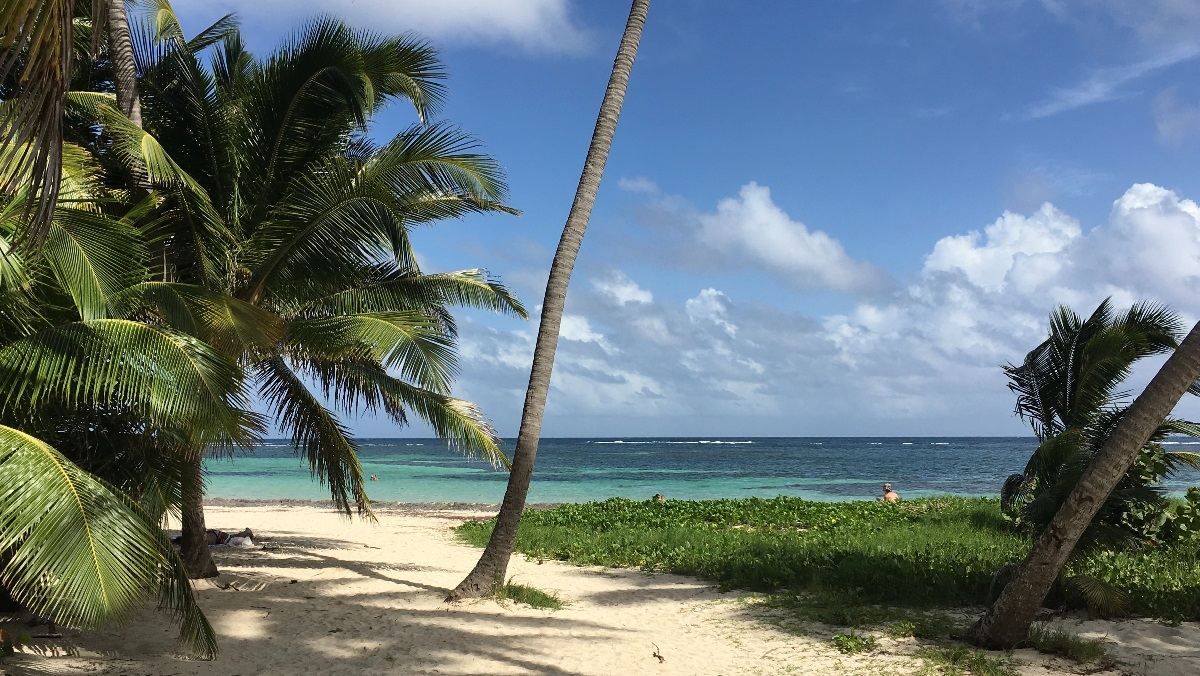 Знову цей COVID: мальовничий французький острів закрили на карантин - Travel Знову цей COVID: мальовничий французький острів закрили на карантин - Travel