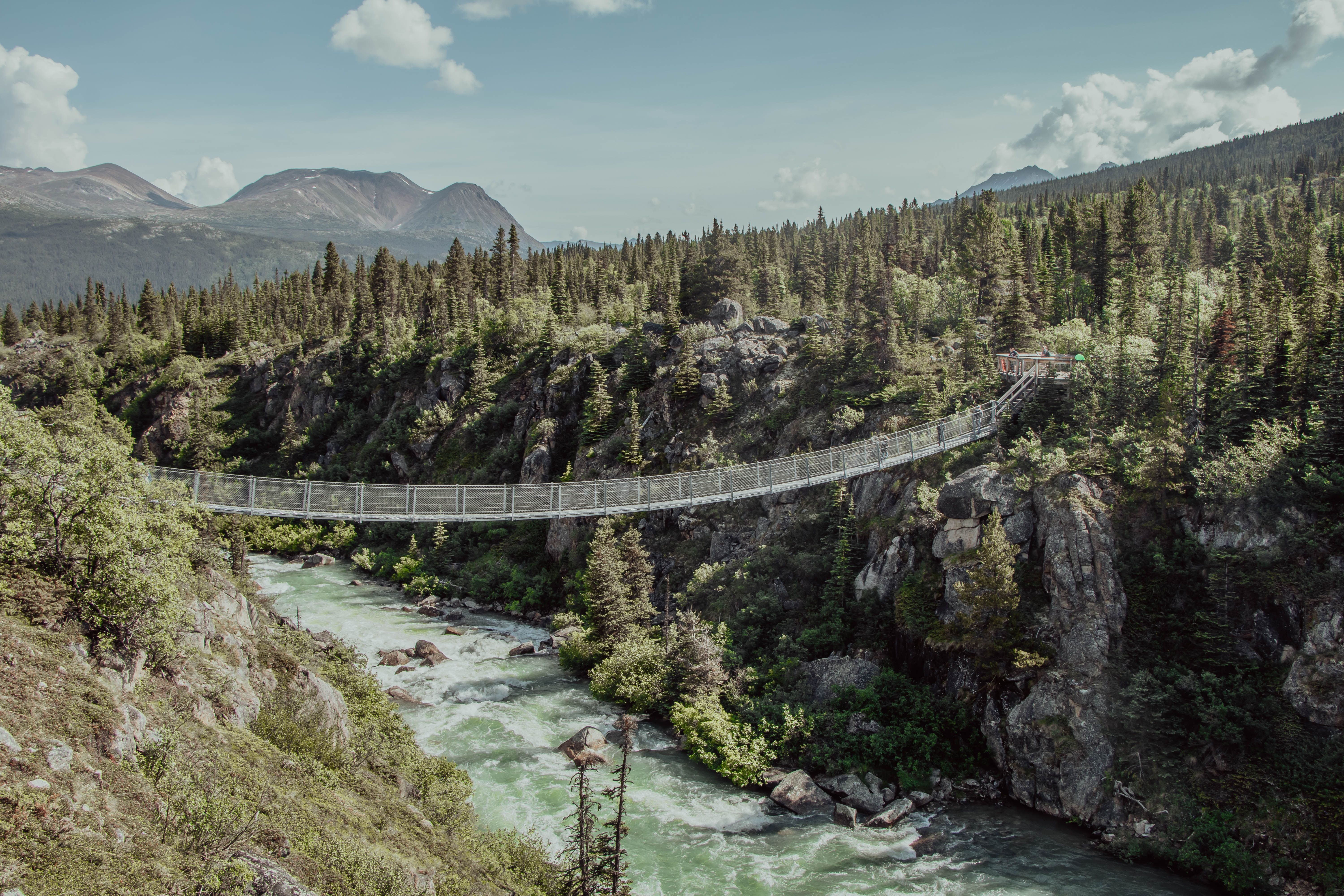 В угорських Карпатах збудуть найвищий підвісний пішохідних міст: захопливі фото - Travel В угорських Карпатах збудуть найвищий підвісний пішохідних міст: захопливі фото - Travel