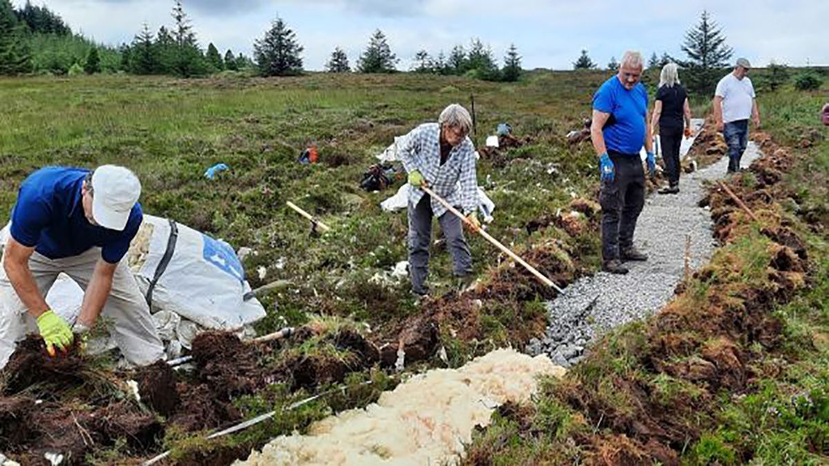 В Ирландии делают горные тропинки из овечьей шерсти В Ирландии делают горные тропинки из овечьей шерсти