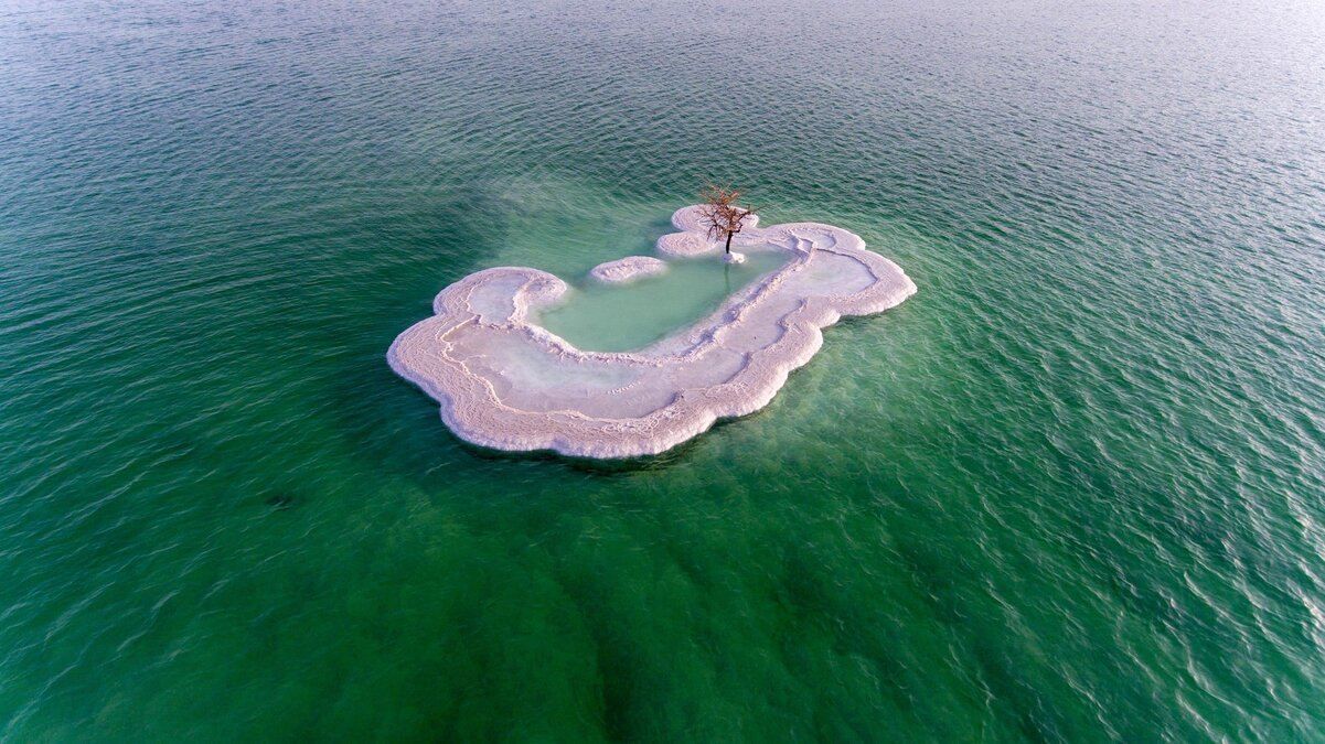 На соляном острове посреди Мертвого моря растет "Дерево жизни": удивительные фото - новости Израиля - Travel