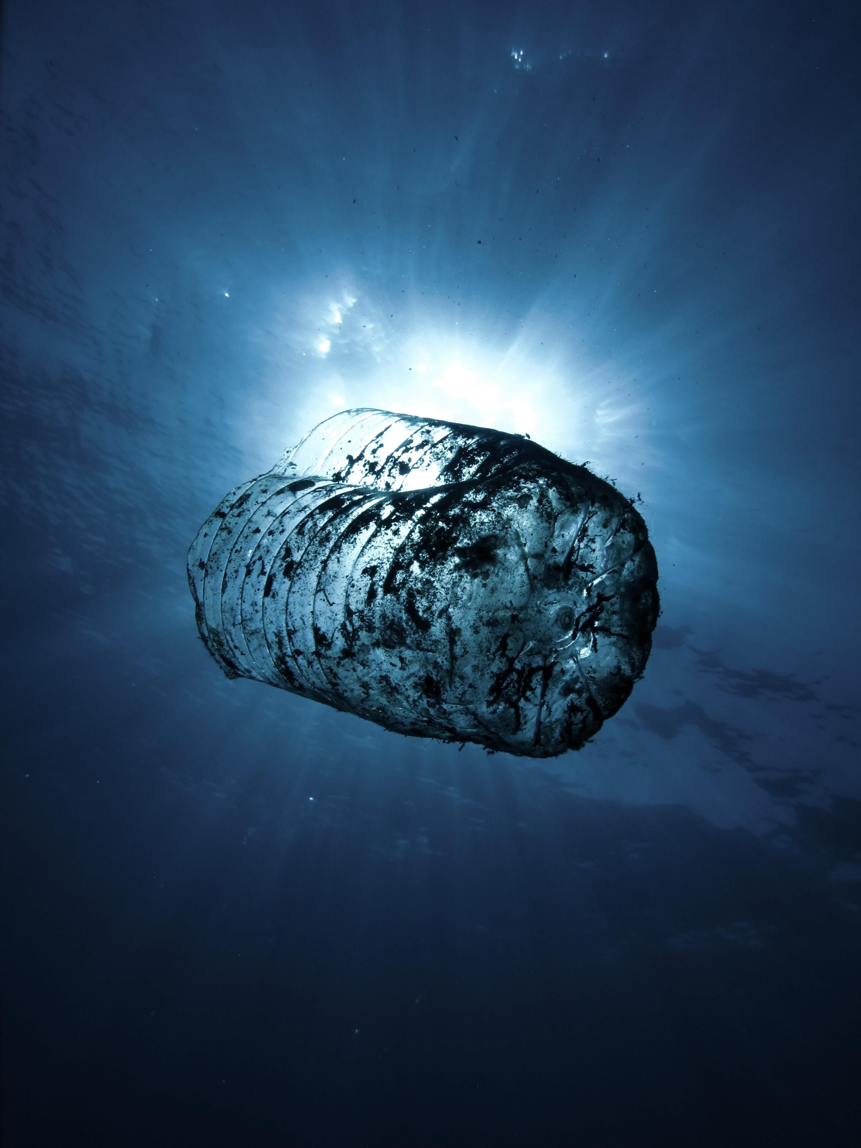 Вторая жизнь пластика: на станции "Академик Вернадский" будут перерабатывать мусор на сувениры - Travel Вторая жизнь пластика: на станции "Академик Вернадский" будут перерабатывать мусор на сувениры - Travel