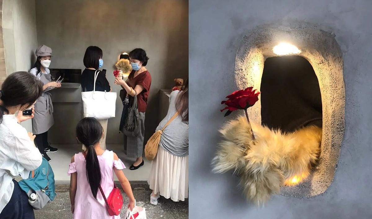 Заказ выдает медвежья лапа: в Японии открыли кафе для людей с психологическими проблемами - Travel
