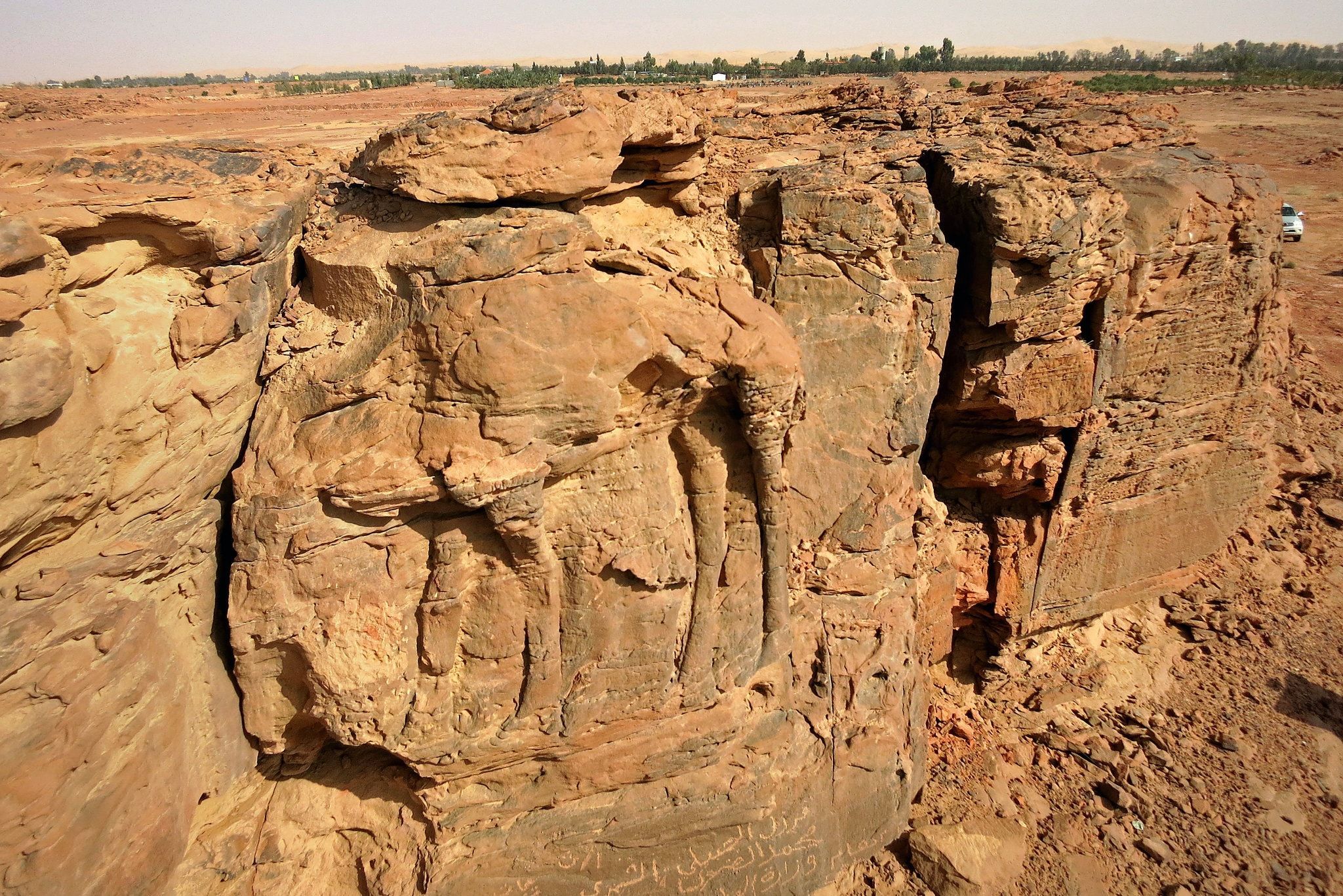 У Саудівській Аравії виявили найдавніші в світі статуї тварин – фото гігантських скульптур - Travel