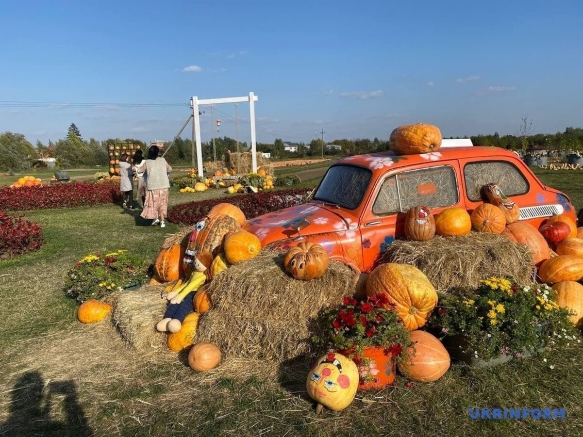 Вместо тюльпанового поля: на Буковине появилась осенняя аттракция с 50 тоннами тыкв - Новости Черновцов - Travel