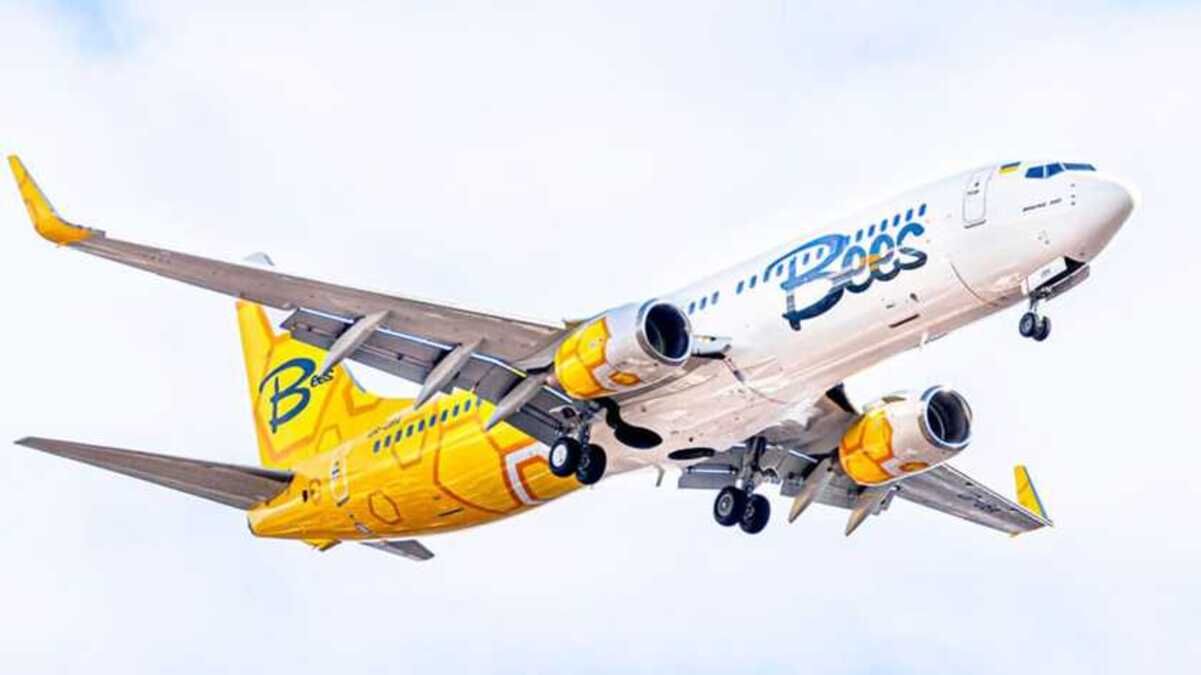 Bees Airline запускає новий внутрішній напрямок: куди літатиме і за скільки - Travel Bees Airline запускає новий внутрішній напрямок: куди літатиме і за скільки - Travel
