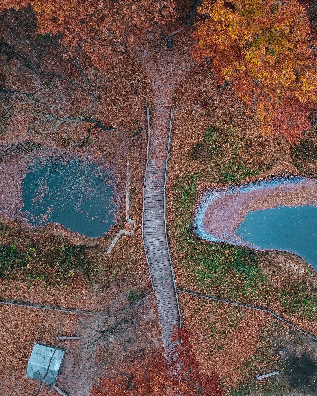 Неизведанное Прикарпатье: невероятное место, куда стоит заехать по дороге в горы - Travel Неизведанное Прикарпатье: невероятное место, куда стоит заехать по дороге в горы - Travel