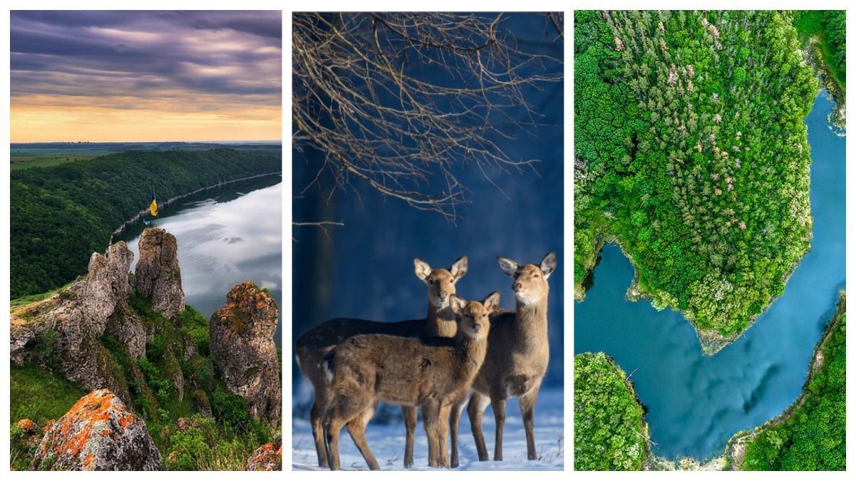 Фото – переможці конкурсу Вікі любить землю 2021 Фото – переможці конкурсу Вікі любить землю 2021