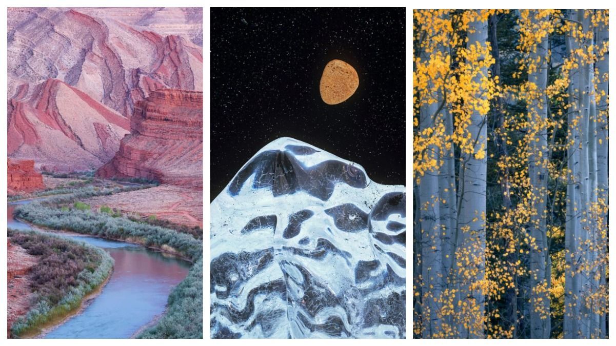 Переможці конкурсу найкращих світлин природи 2021 Переможці конкурсу найкращих світлин природи 2021