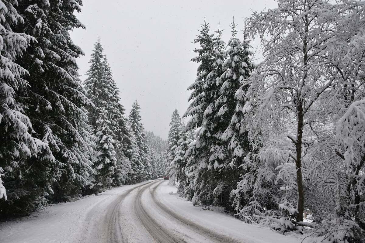 Сказочная зима на Верховине: в сети появились пейзажные фотографии - Travel