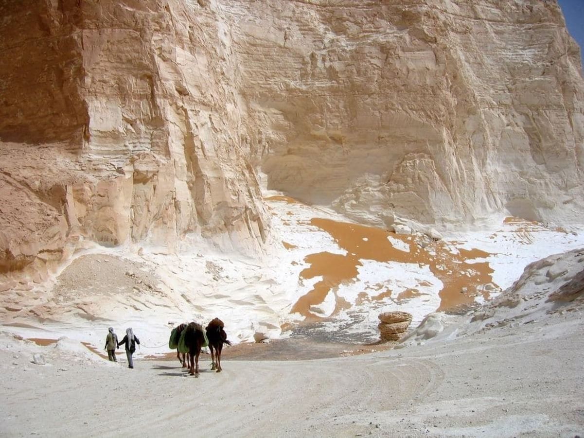 У пустелі Сахара випав сніг: фотограф зазнімкував рідкісне погодне явище - 20 января 2022 - Travel