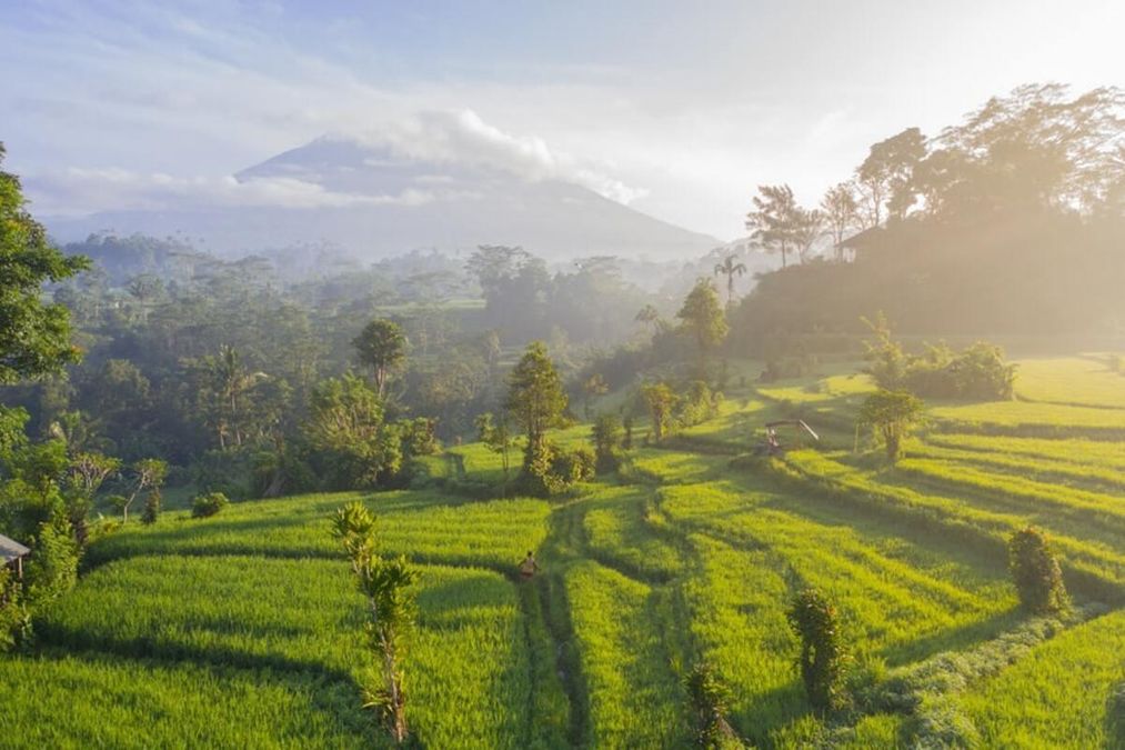 Индонезия ужесточает ограничения на двух курортных островах - Travel Индонезия ужесточает ограничения на двух курортных островах - Travel