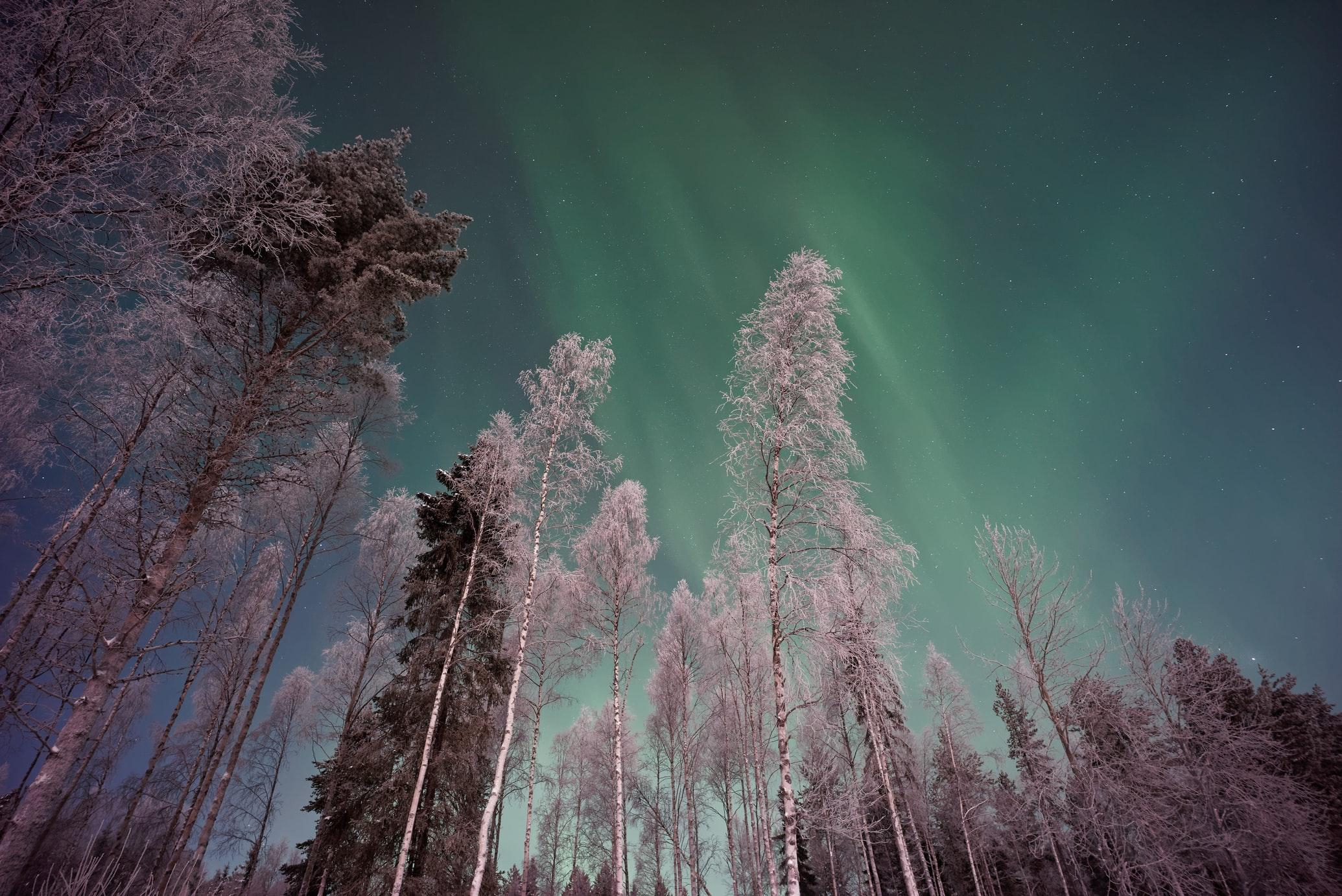 5 причин посетить Финляндию – самую счастливую страну в мире - Travel