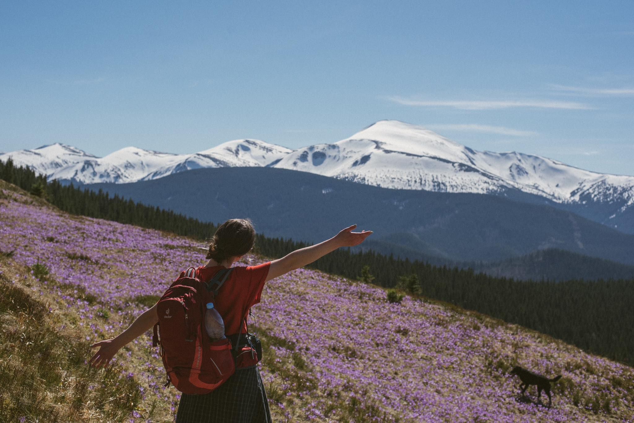 Топ инстаграмных локаций в Карпатах, куда надо поехать в апреле - Travel Топ инстаграмных локаций в Карпатах, куда надо поехать в апреле - Travel