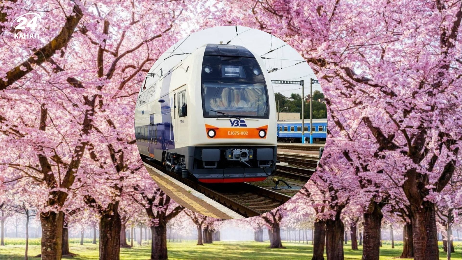 З Києва до Ужгорода призначили додатковий потяг через сакури З Києва до Ужгорода призначили додатковий потяг через сакури