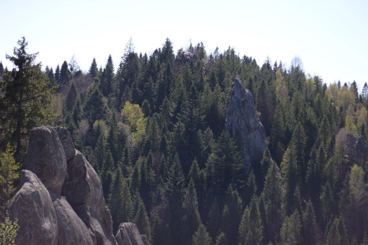 Куди поїхати зі Львова на 1 день - куди поїхати біля Львова на вихідні - Travel Куди поїхати зі Львова на 1 день - куди поїхати біля Львова на вихідні - Travel