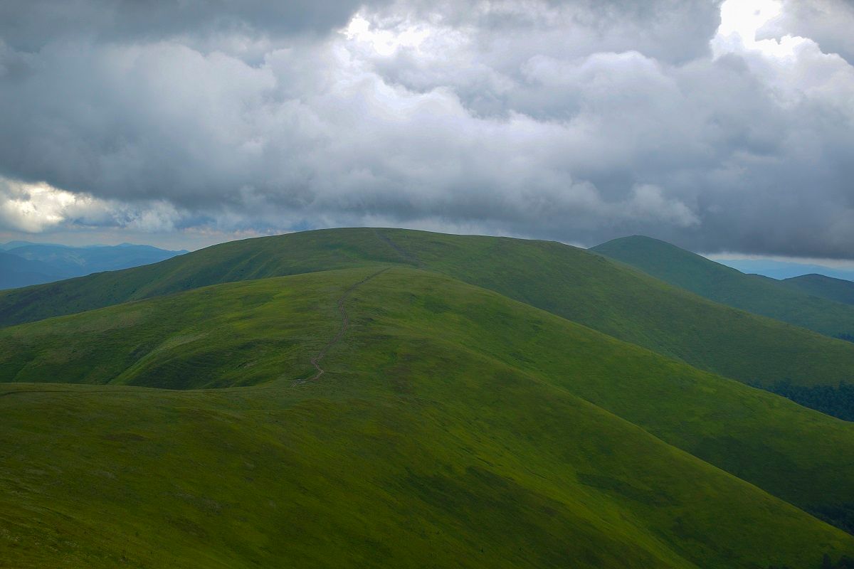 Куди поїхати в Карпати на один день - що відомо про полонину Боржава - Travel Куди поїхати в Карпати на один день - що відомо про полонину Боржава - Travel
