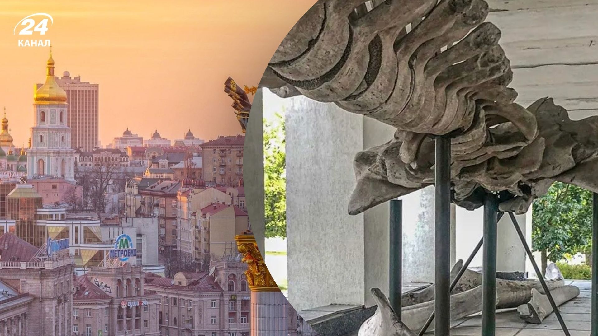 В Киеве хранится скелет синего кита - где его увидеть бесплатно