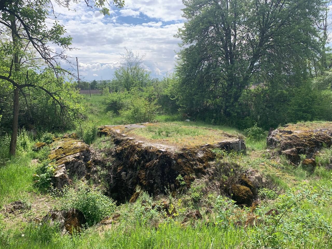 Ставка "Вервольф"